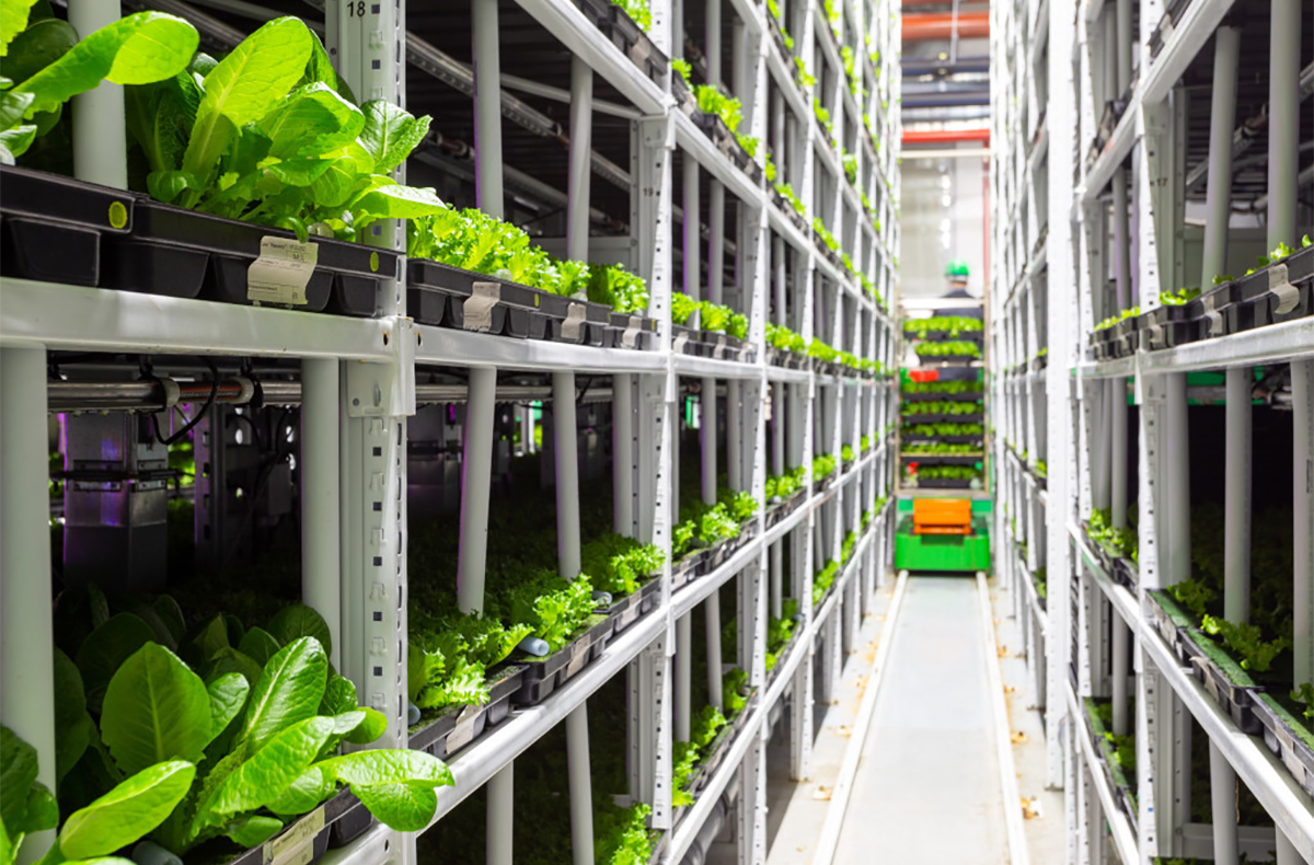 Lean e Green: la sinergia sostenibile